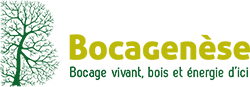 Bocagenese